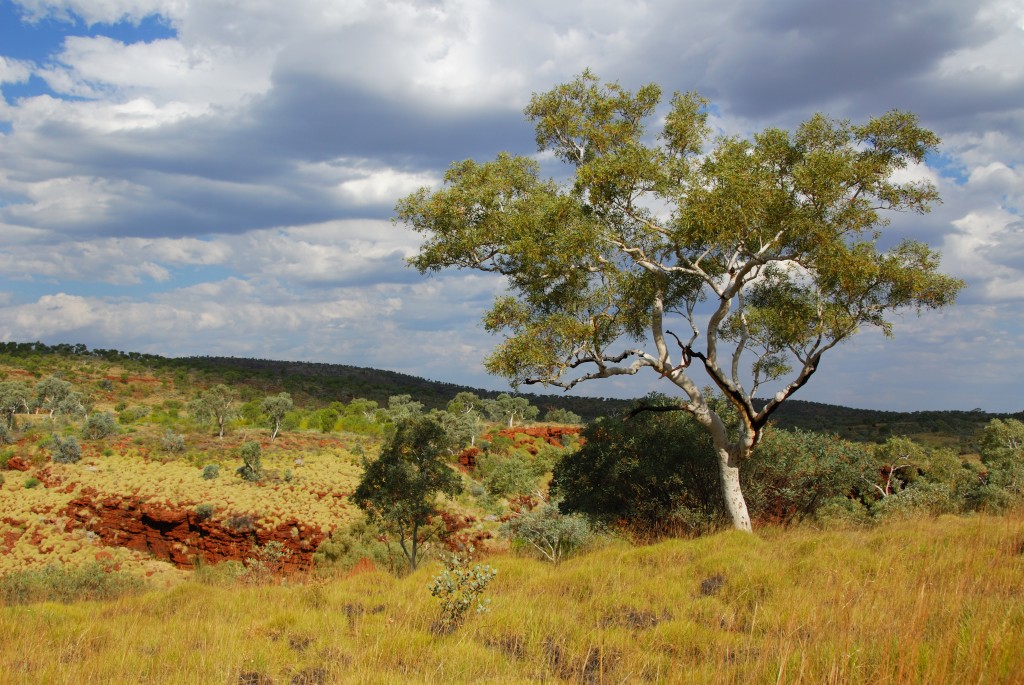 Karijini West-Australie